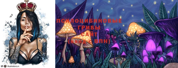 спиды Балахна