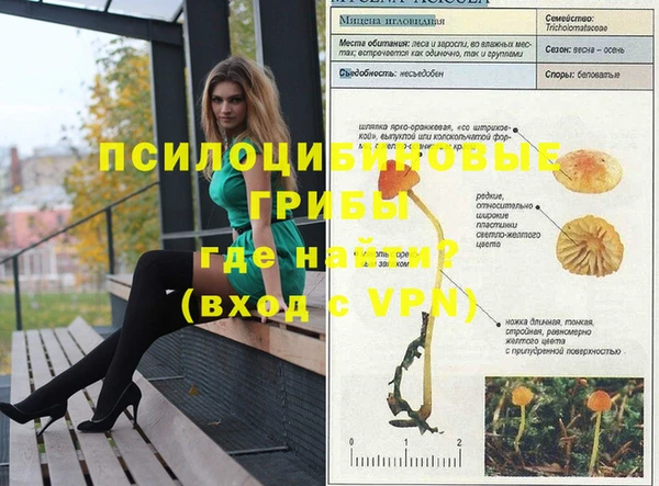 дживик Балабаново