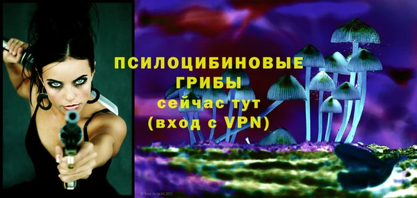 альфа пвп Армянск